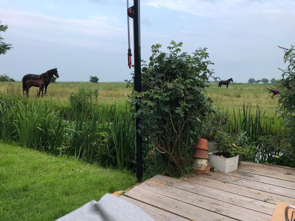 Vakantiehuis In Friesland Voor De Hele Familie Huns Exterior photo