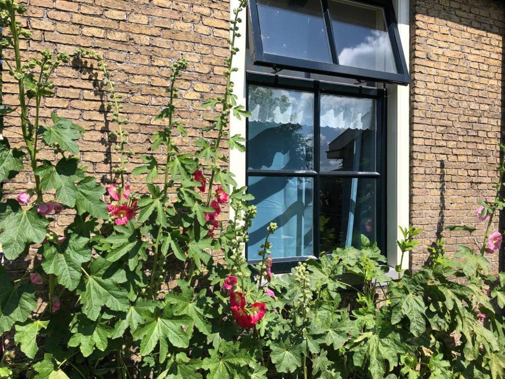Vakantiehuis In Friesland Voor De Hele Familie Huns Exterior photo