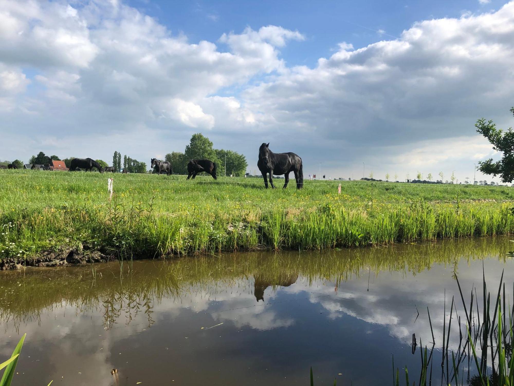 Vakantiehuis In Friesland Voor De Hele Familie Huns Exterior photo